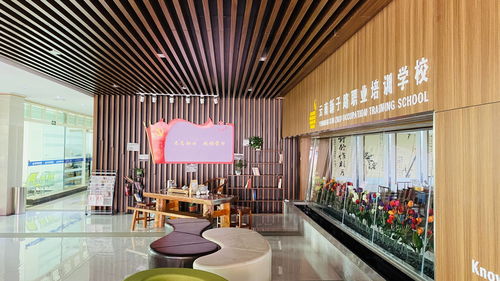 云南新子路職業(yè)培訓學校 榮獲第二批職業(yè)技能等級認定資格，深化應用與技術服務新篇章